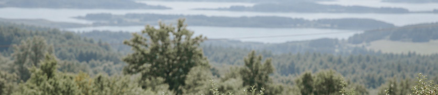 Hügellandschaft mit Bäumen und See im warmen Sonnenlicht